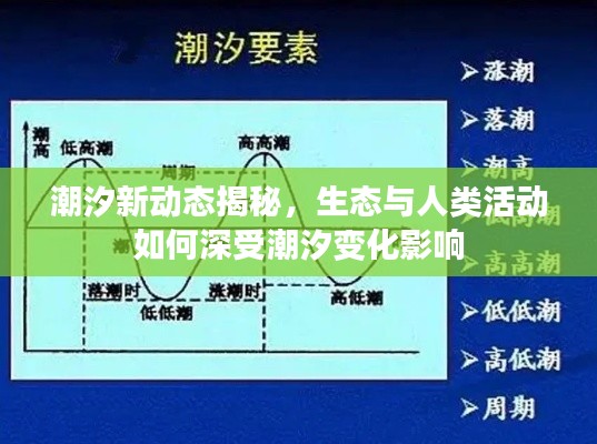 阿胶究竟有哪些功效 第24页