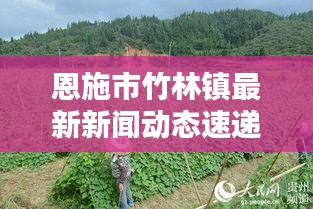 恩施市竹林镇最新新闻动态速递