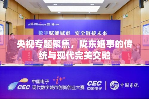 央视专题聚焦，陇东婚事的传统与现代完美交融