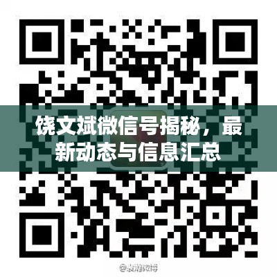 饶文斌微信号揭秘，最新动态与信息汇总