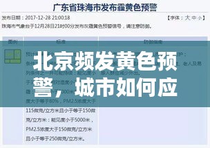北京频发黄色预警，城市如何应对风险挑战的挑战与策略