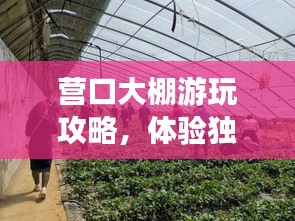 营口大棚游玩攻略，体验独特农业之旅！