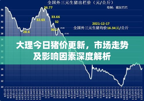 伤弓之鸟