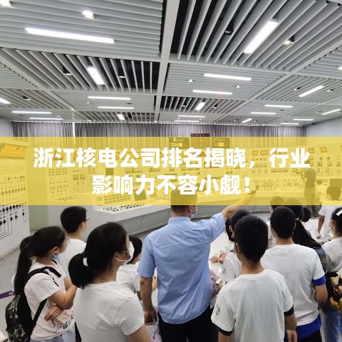 浙江核电公司排名揭晓，行业影响力不容小觑！