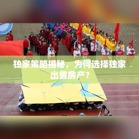 独家策略揭秘，为何选择独家出售房产？