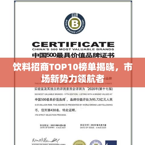 饮料招商TOP10榜单揭晓，市场新势力领航者