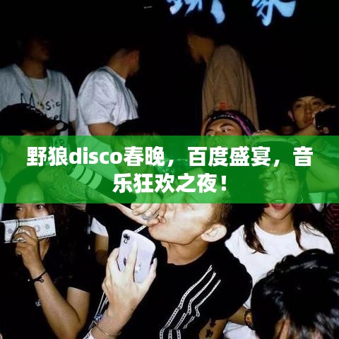 野狼disco春晚，百度盛宴，音乐狂欢之夜！