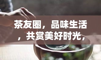 茶友圈，品味生活，共赏美好时光，领略茶道之美！
