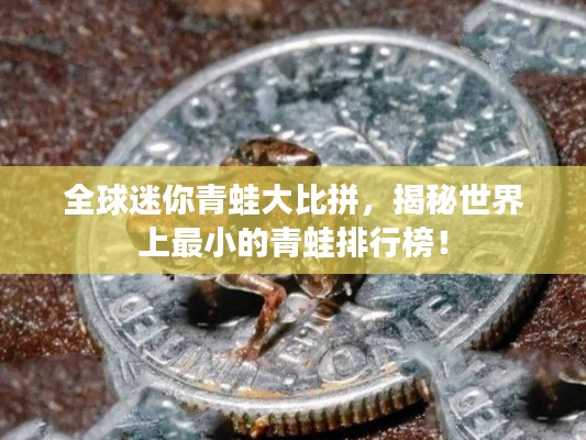 全球迷你青蛙大比拼，揭秘世界上最小的青蛙排行榜！