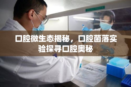 口腔微生态揭秘，口腔菌落实验探寻口腔奥秘