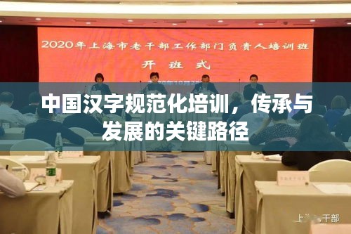 中国汉字规范化培训，传承与发展的关键路径