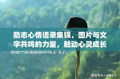 励志心情语录集锦，图片与文字共鸣的力量，触动心灵成长！