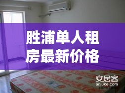 胜浦单人租房最新价格表及深度解析