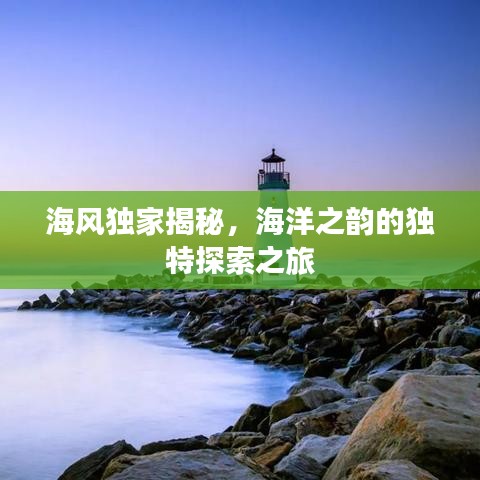 十年磨剑