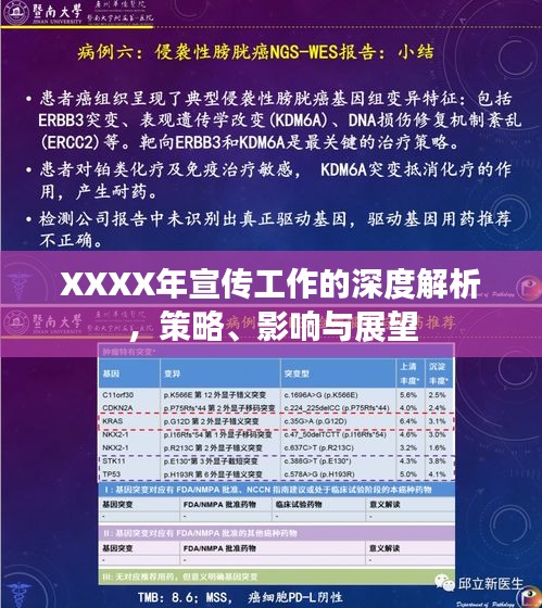 XXXX年宣传工作的深度解析，策略、影响与展望