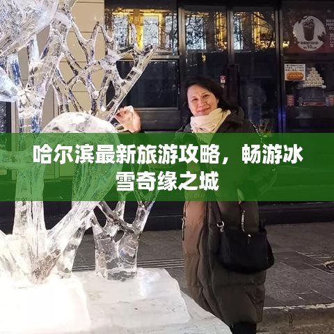 哈尔滨最新旅游攻略，畅游冰雪奇缘之城