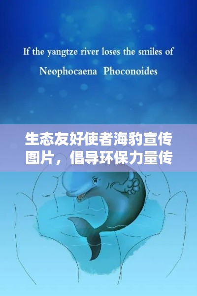 生态友好使者海豹宣传图片，倡导环保力量传递正能量
