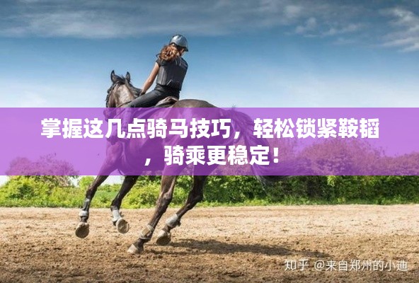 掌握这几点骑马技巧，轻松锁紧鞍韬，骑乘更稳定！