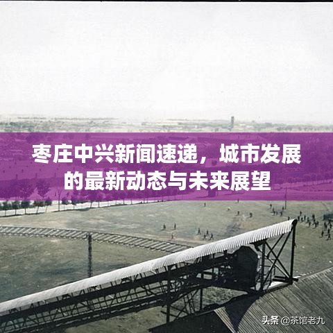 反朴还淳