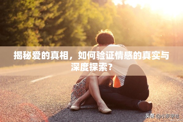 揭秘爱的真相，如何验证情感的真实与深度探索？