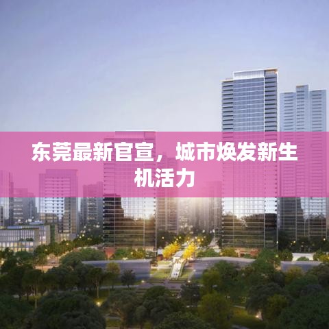 东莞最新官宣，城市焕发新生机活力