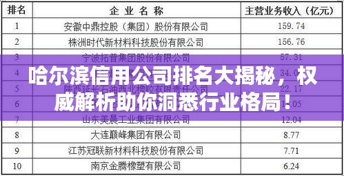 哈尔滨信用公司排名大揭秘，权威解析助你洞悉行业格局！