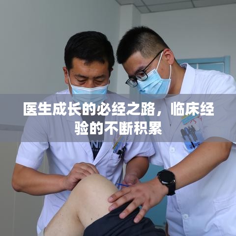 马马虎虎