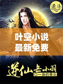 叶空小说最新免费更新章节抢先看