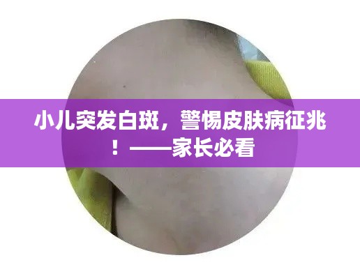 荆钗布裙