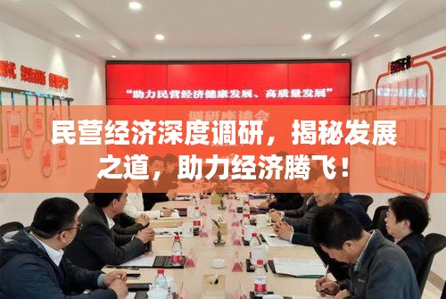 民营经济深度调研，揭秘发展之道，助力经济腾飞！