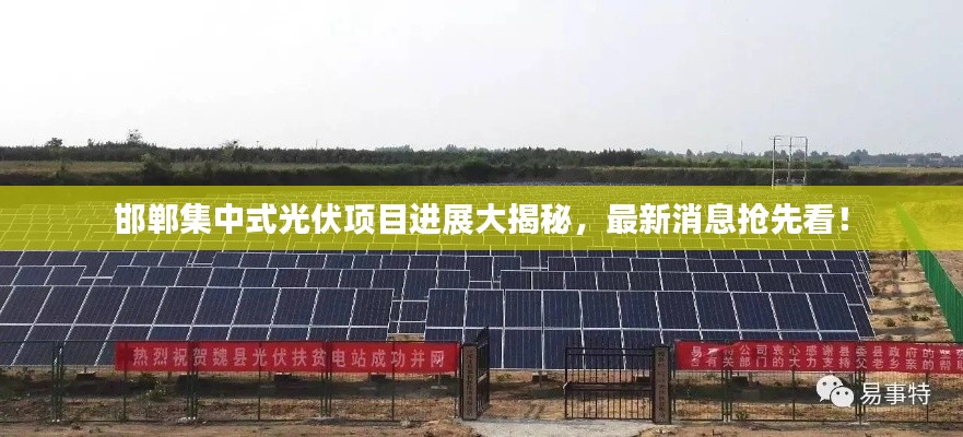 邯郸集中式光伏项目进展大揭秘，最新消息抢先看！