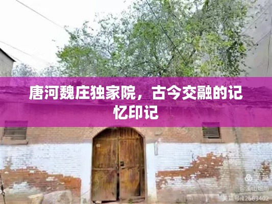 唐河魏庄独家院，古今交融的记忆印记