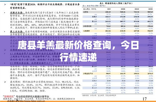 唐县羊羔最新价格查询，今日行情速递
