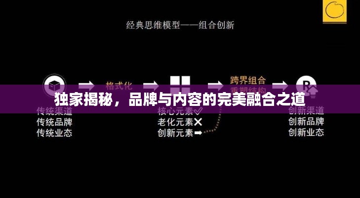 独家揭秘，品牌与内容的完美融合之道