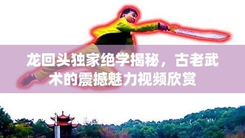 龙回头独家绝学揭秘，古老武术的震撼魅力视频欣赏