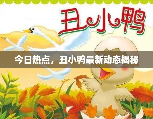 今日热点，丑小鸭最新动态揭秘