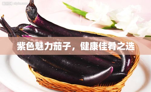 紫色魅力茄子，健康佳肴之选