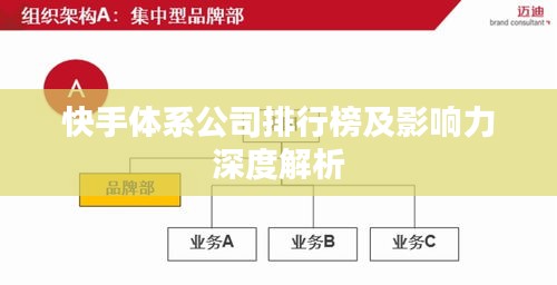 快手体系公司排行榜及影响力深度解析