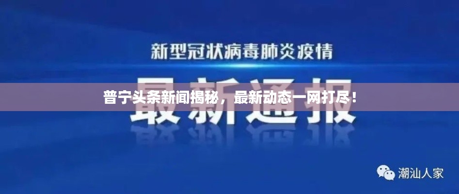 阿胶究竟有哪些功效 第12页