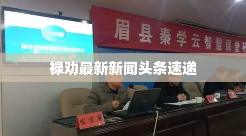 禄劝最新新闻头条速递
