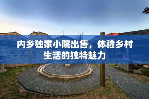 2025年5月11日