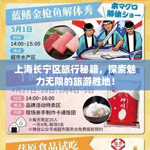 上海长宁区旅行秘籍，探索魅力无限的旅游胜地！