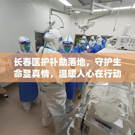 毛手毛脚
