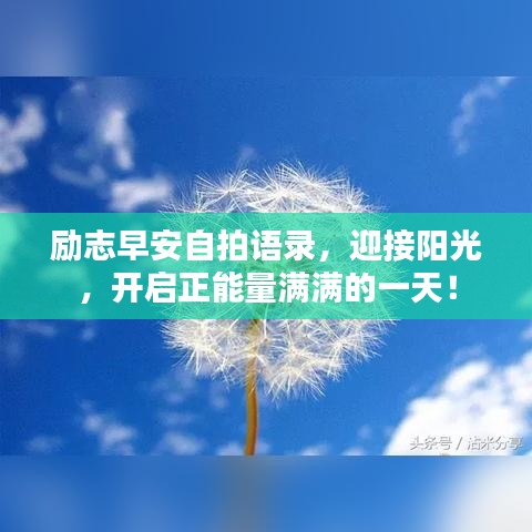 阿胶究竟有哪些功效 第5页