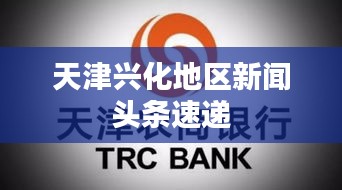 阿胶究竟有哪些功效 第3页