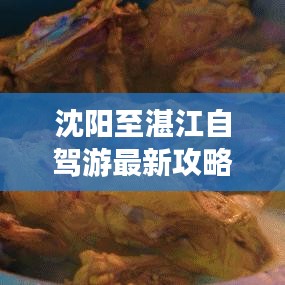 沈阳至湛江自驾游最新攻略大全！必看的路线规划与旅行建议！