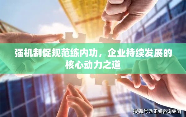 强机制促规范练内功，企业持续发展的核心动力之道