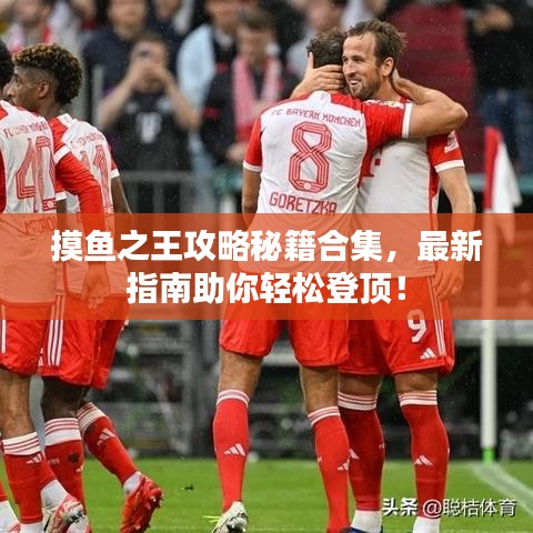摸鱼之王攻略秘籍合集，最新指南助你轻松登顶！