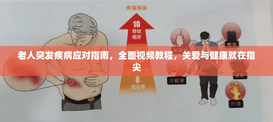老人突发疾病应对指南，全面视频教程，关爱与健康就在指尖