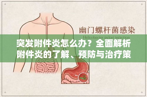 突发附件炎怎么办？全面解析附件炎的了解、预防与治疗策略